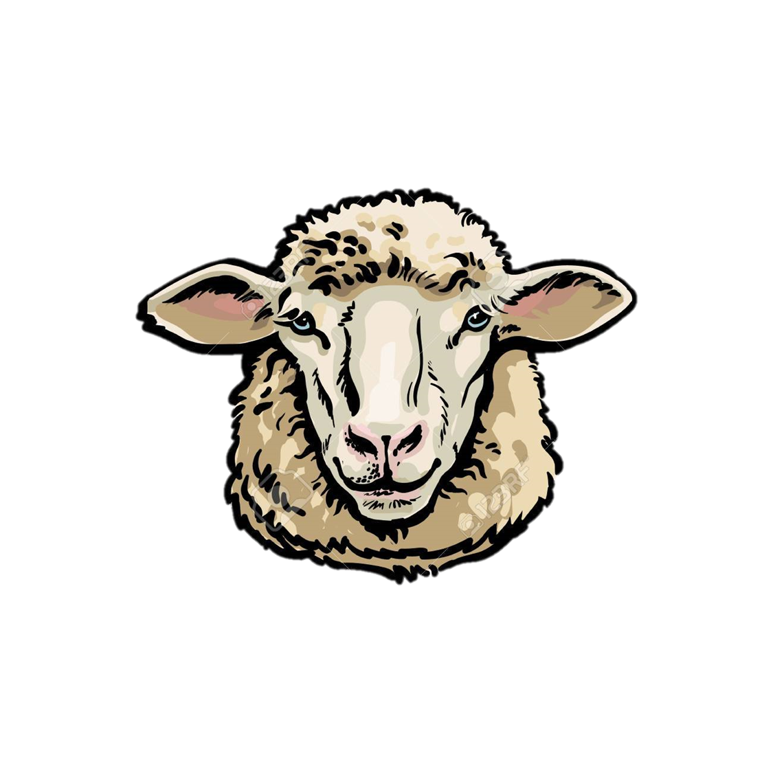 Animales importantes