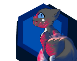 User blogswiftinspringswiftwind page animal groups roleplay wiki
