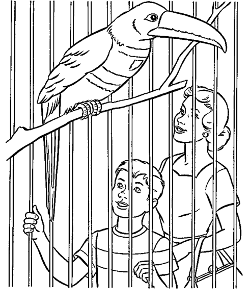 People in the zoo drawings photos drawings for sketching and more