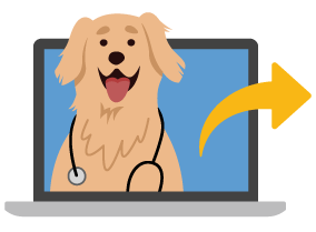 Animal health