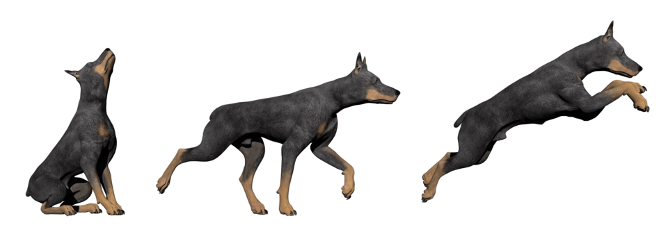 D rendering dog png transparent images free download vector files