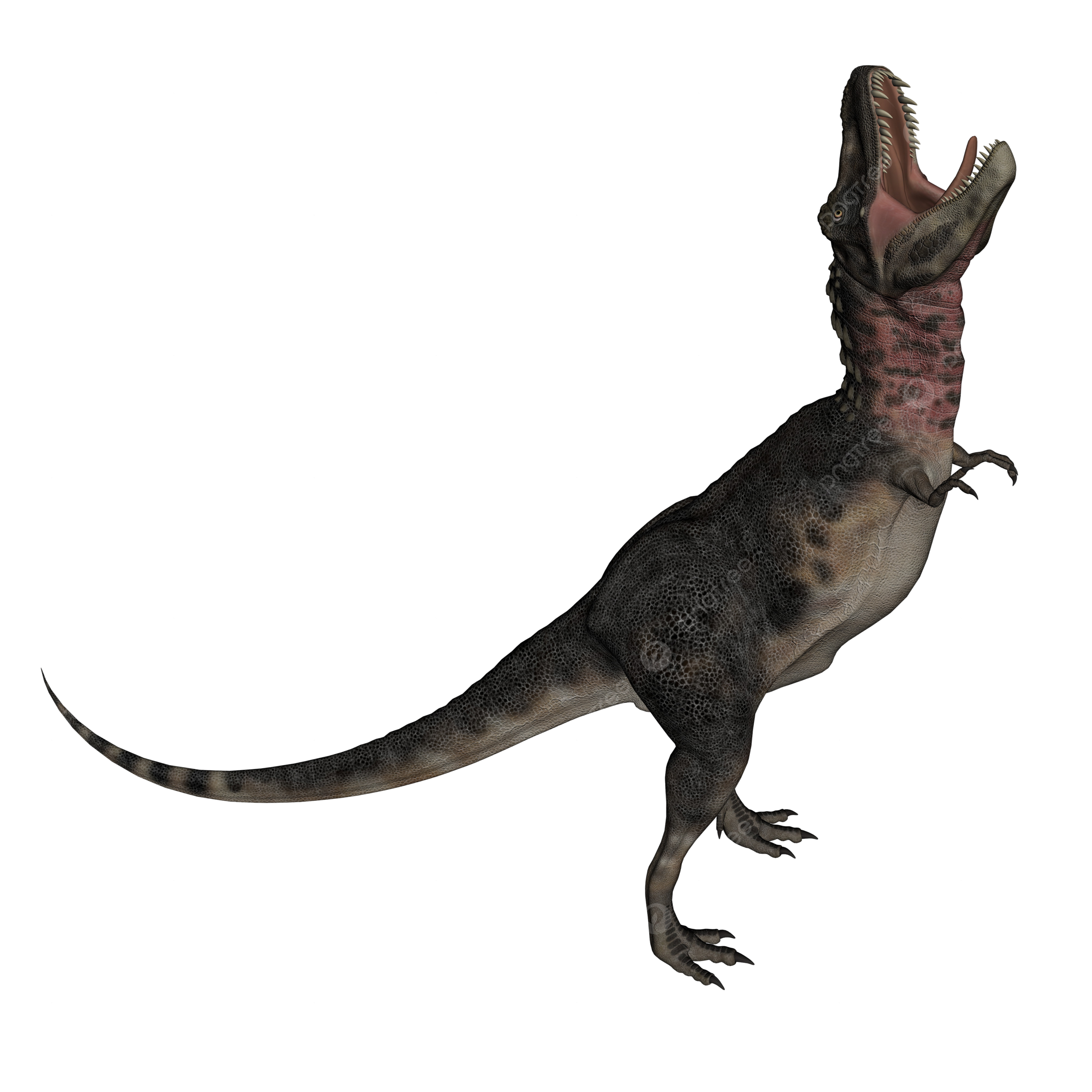 Æéåçpngåèå çéåæç æ å èäè