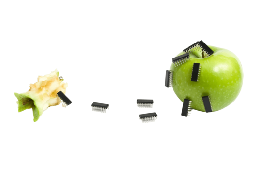 Biting insect png transparent images free download vector files