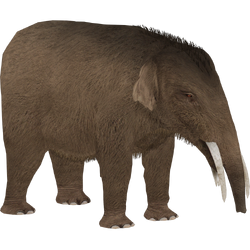 Categorymiocene animals zt download library wiki