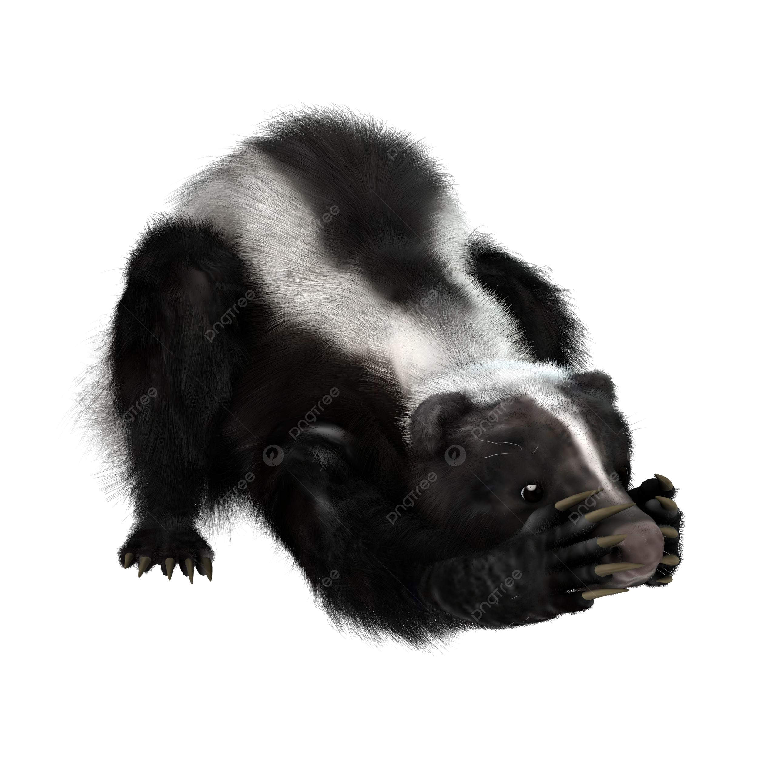 Gambã png images vetores e arquivos psd download grãtis em