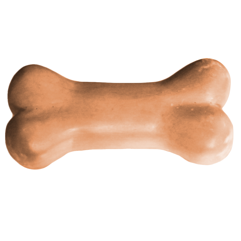 Dog bone soap mold mw