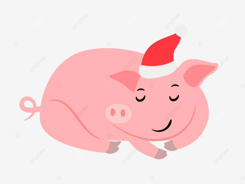 Dormir rosa aão nuevo cerdo en santa sombrero png invierno sonrisa dibujos animados png y vector para dcargar gratis