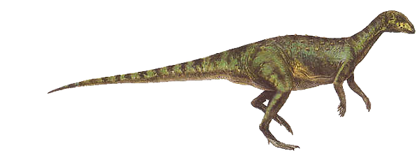 Herbivore dinosaur encounter