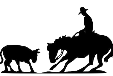 Sold horses corbridge horses