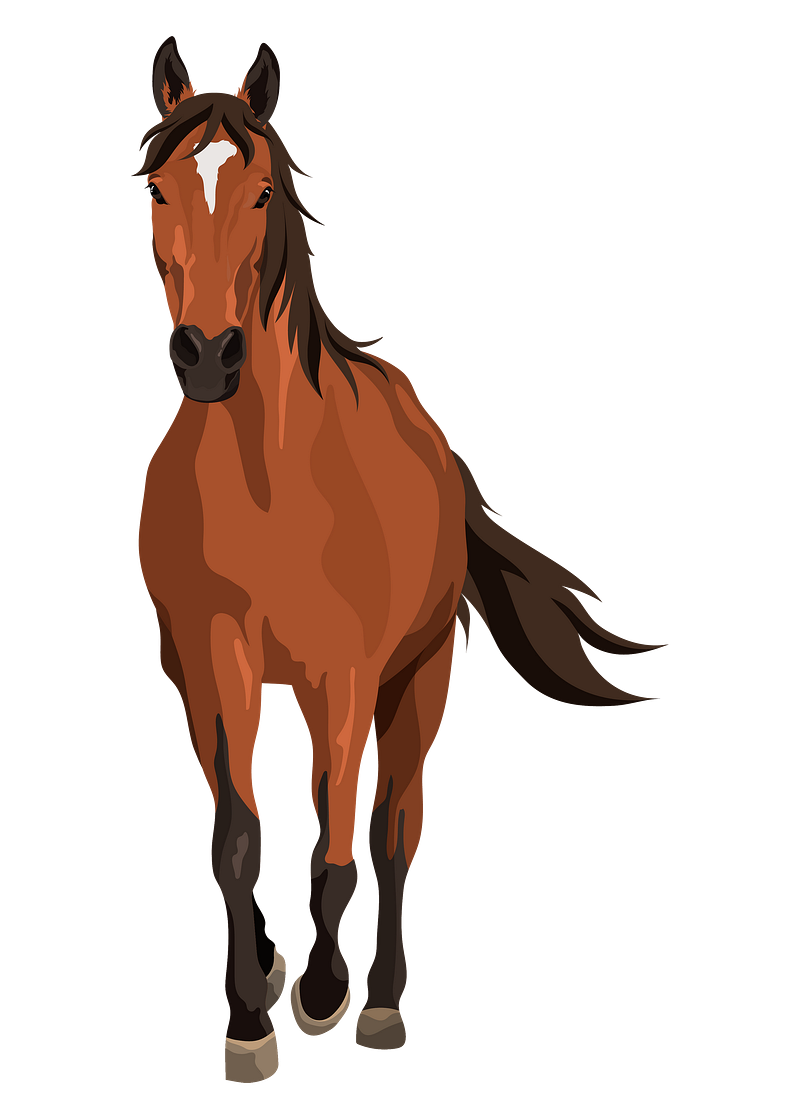 Horse running png images free photos png stickers wallpapers backgrounds