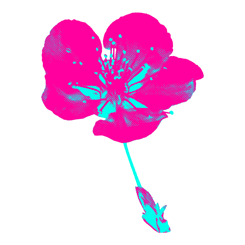 Apple neon png images free photos png stickers wallpapers backgrounds
