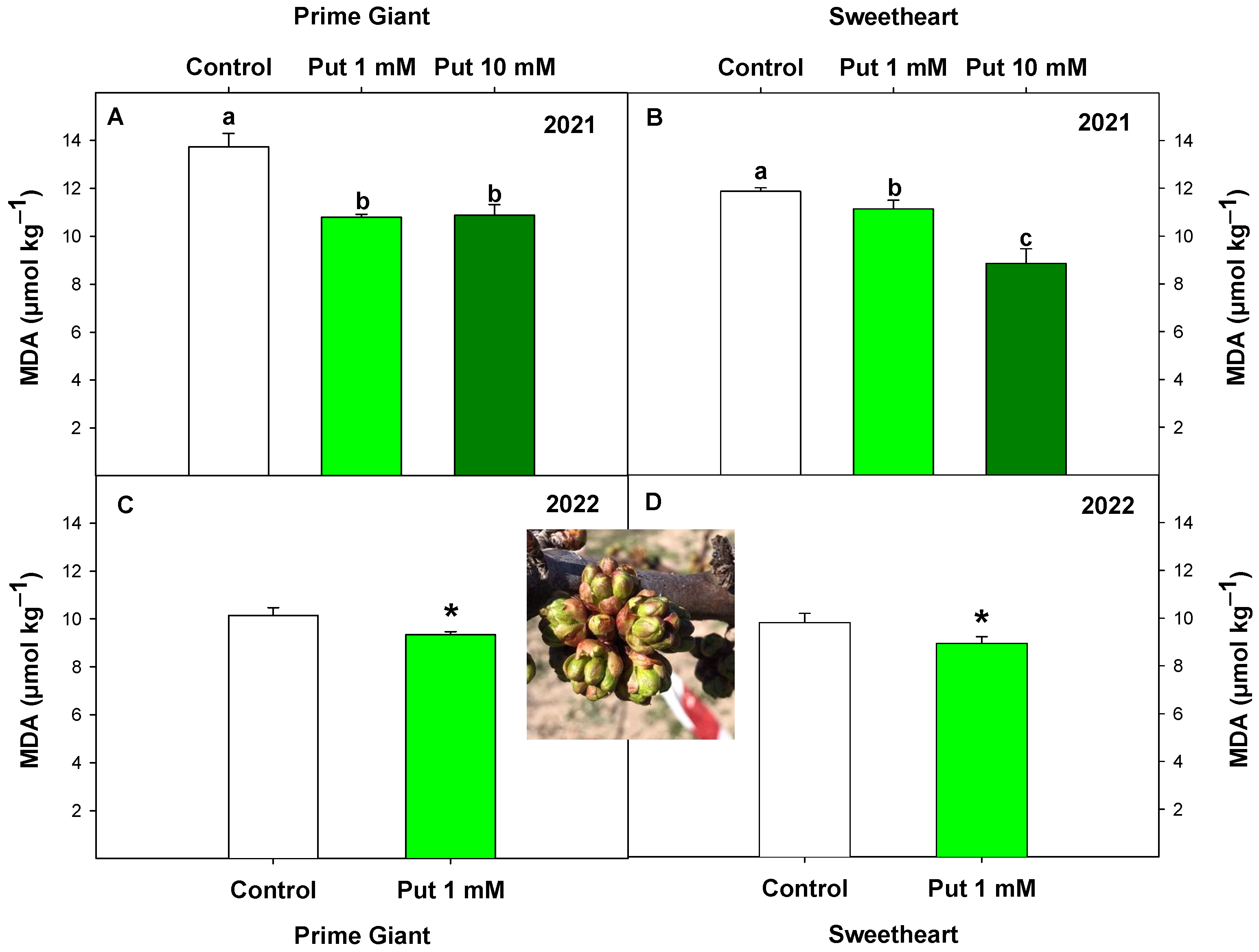 Agronomy free full