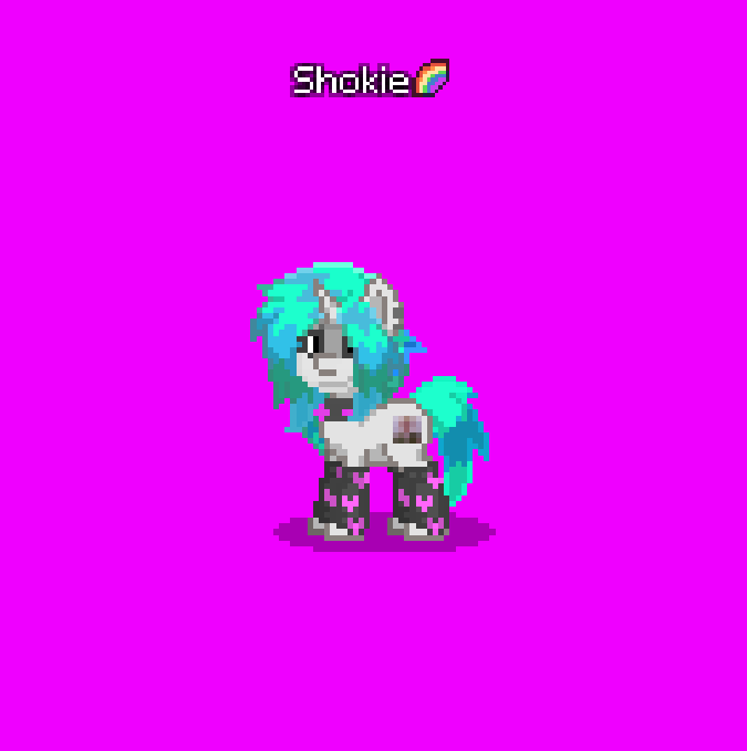 Whats the point of putting dnc in ur name rponytown