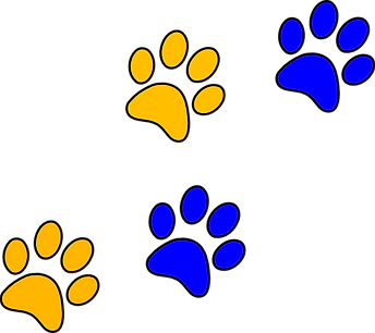 School united states
