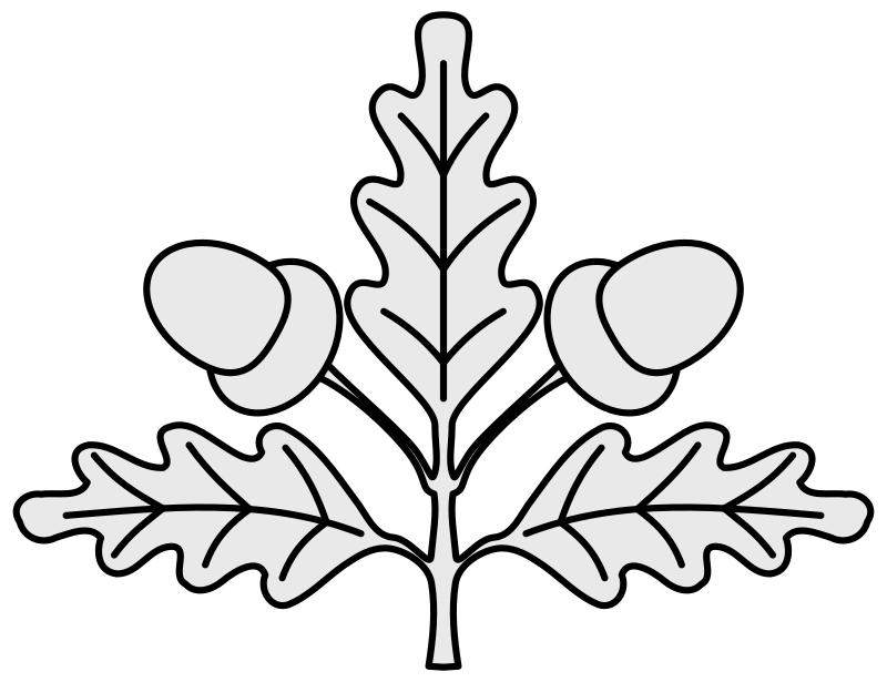 Filecoa illustration elements plants oak vsvg