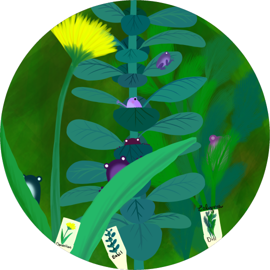Herbs and frogs explore tumblr posts and blogs