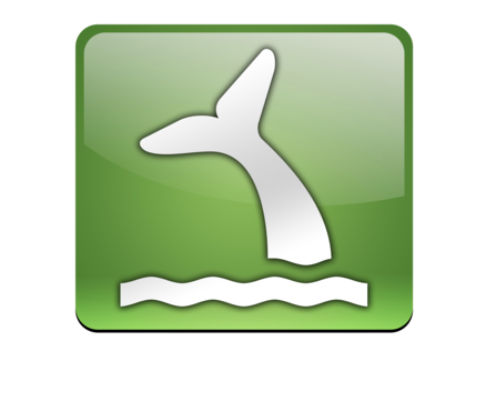 Whale png vector psd and clipart with transparent background for free download