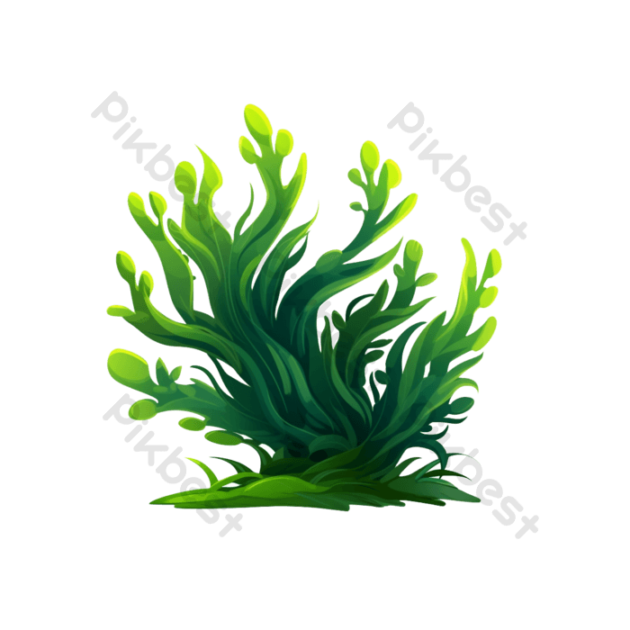 Seaweed png images free seaweed transparent pngvector and psd download