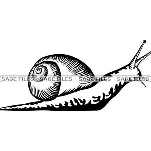 Garden snail svg