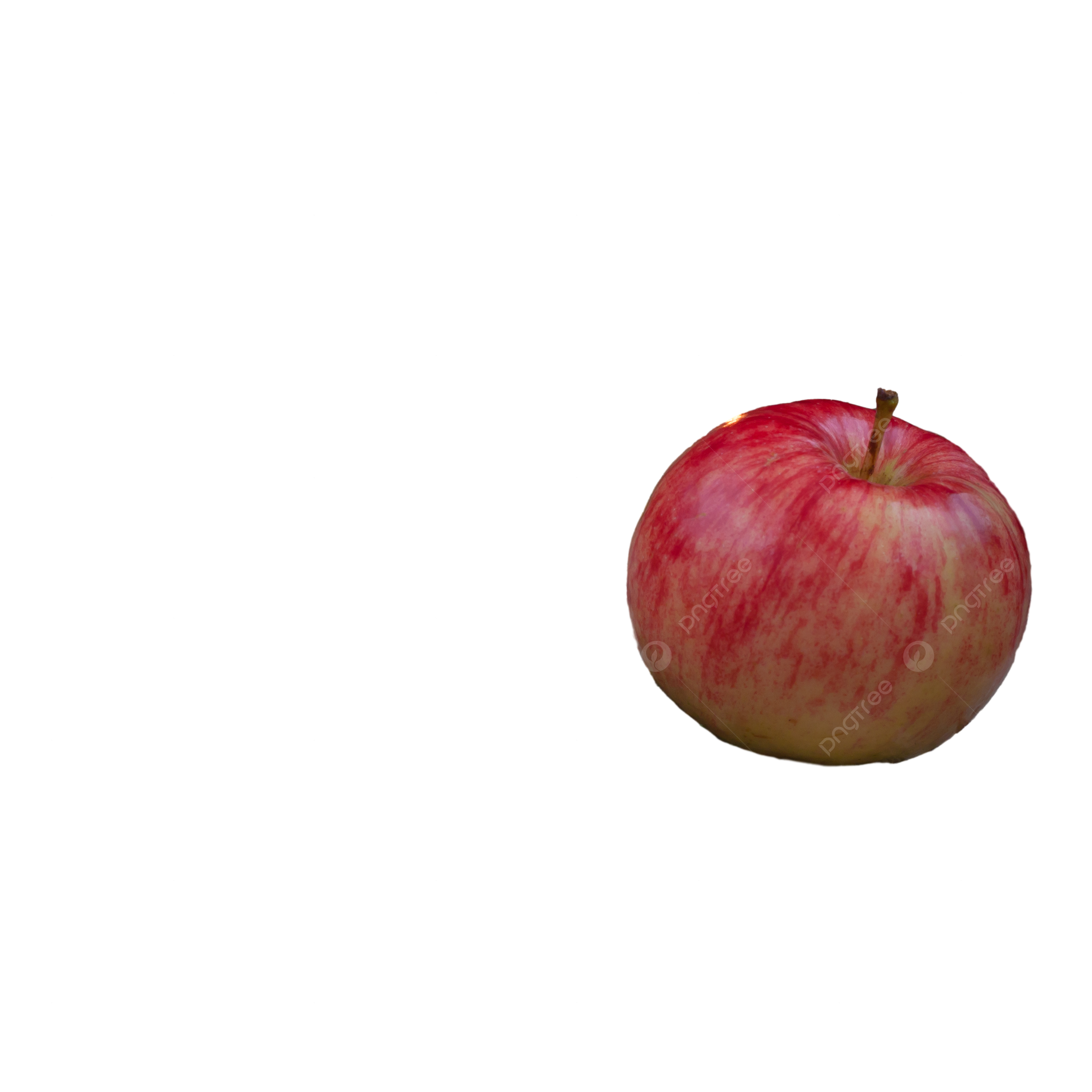 Libros de manzana png imãgen transparent