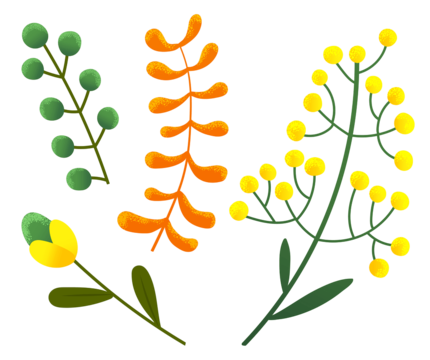 Round flourish clipart images free download png transparent background
