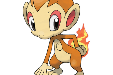 Turtwig