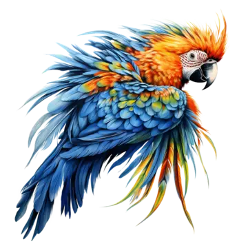 Lienzo png imãgen transparent