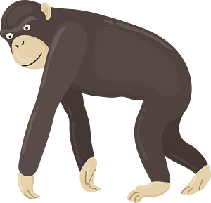 Animals clipart free download transparent png or vector