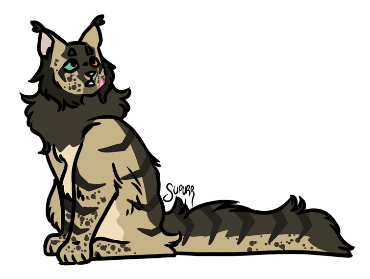 My oc quinoa the sandwing but i made him into a cat