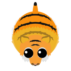 Tiger mopeio wiki