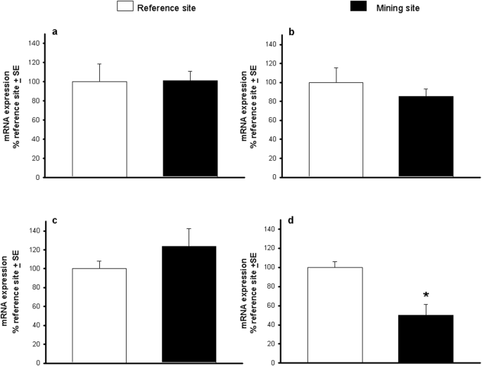 Metal brain bioaccumulation and neurobehavioral effects on the wild rodent liomys irroratus inhabiting mine tailing areas environmental science and pollution research