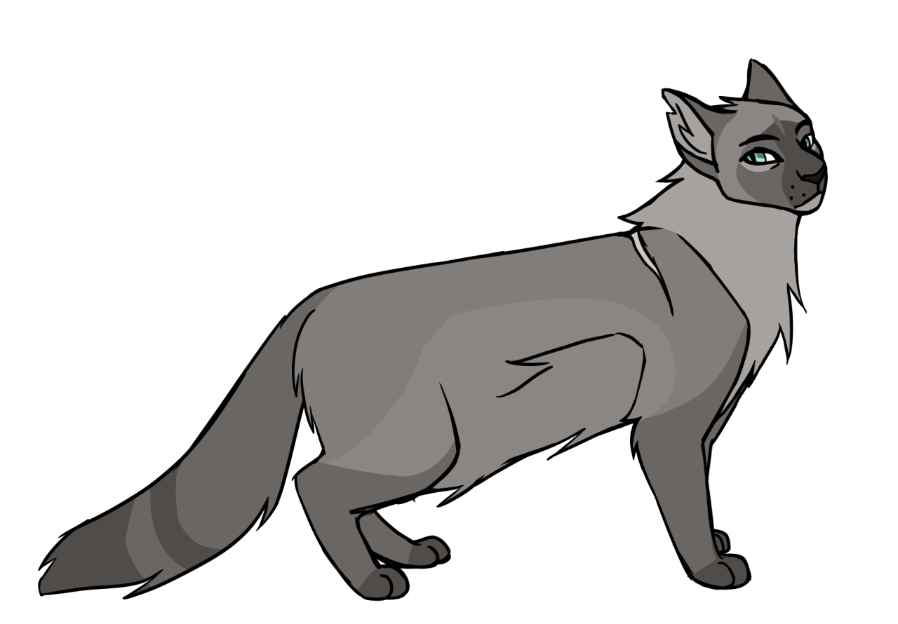 Murder cats designs â conefoot