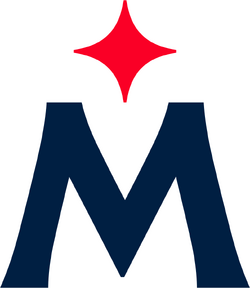 Minnesota twins logopedia