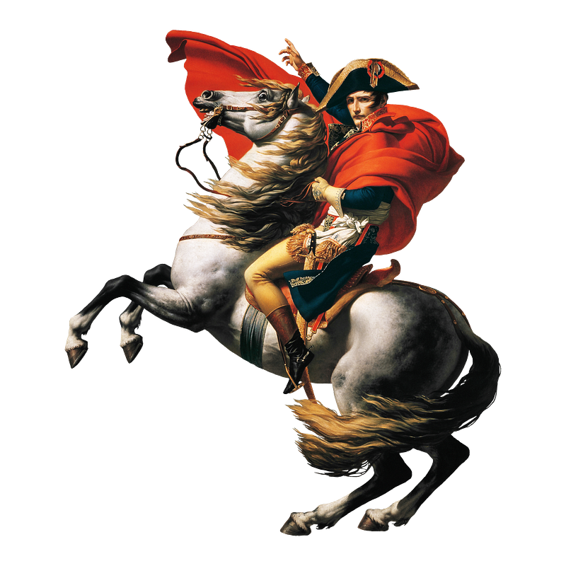 Wild horse png images free photos png stickers wallpapers backgrounds