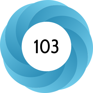 How to automatically document data with the codebook package to facilitate data reuse