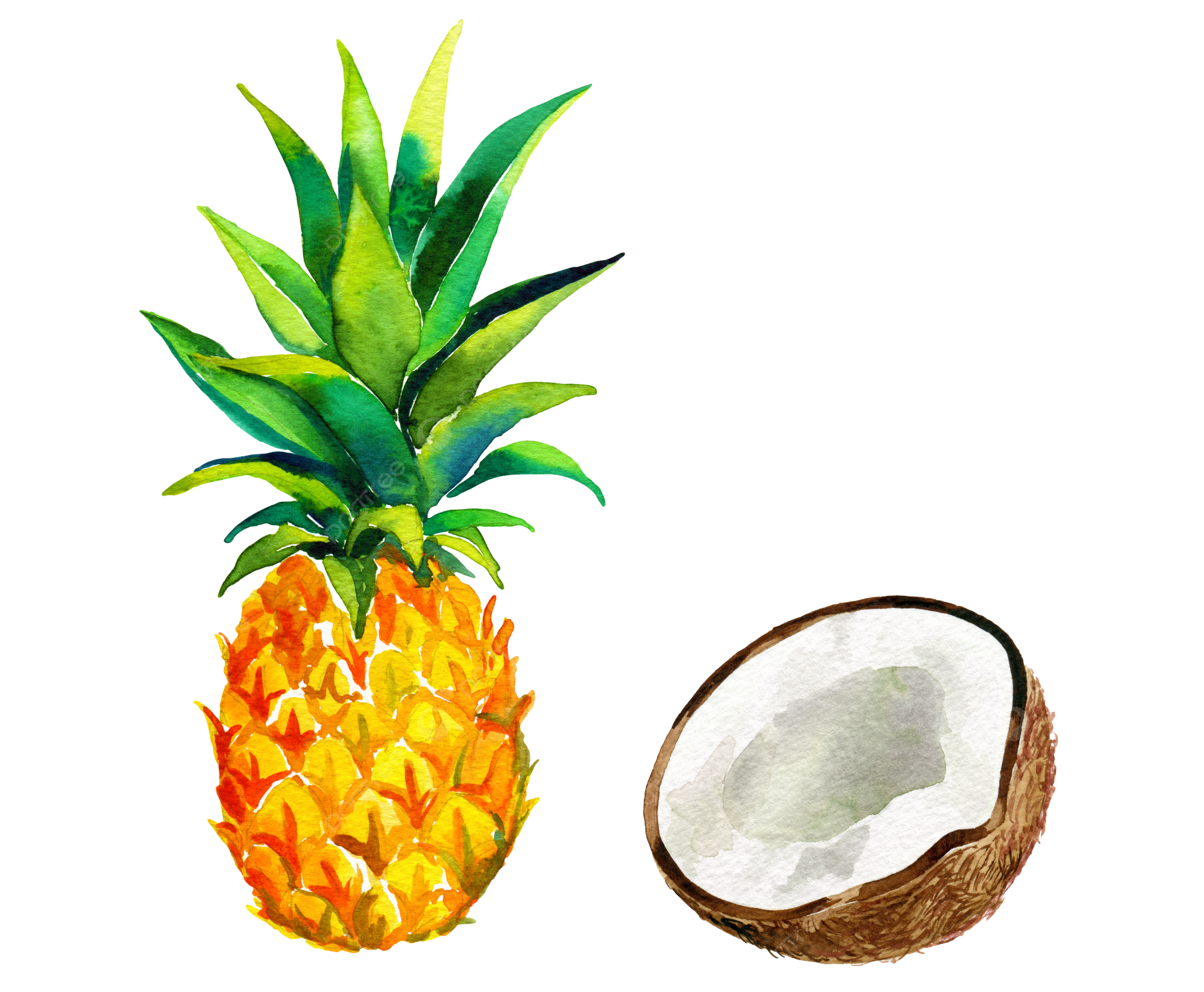 Barong gambar png file vektor dan psd unduh gratis di