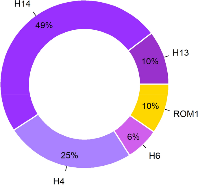 Assessment of genetic diversity population structure and wolf