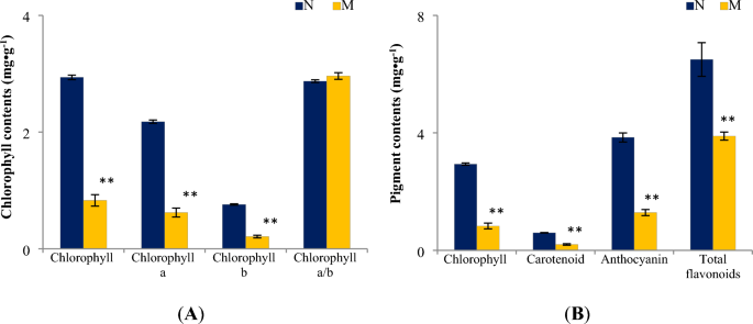 Molecular insights into the mechanisms of a leaf color mutant in anoectochilus roxburghii by gene mapping and transcriptome profiling based on pacbio sequel ii scientific reports