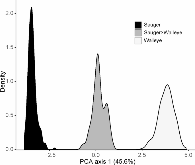 An amplicon genotyping panel suitable for species identification and population genetics in sauger sander canadensis and walleye sander vitreus conservation genetics resources