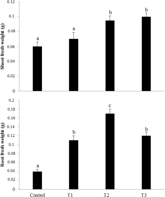 Biofertilization with macrocystis pyrifera algae extracts bined with pgpr