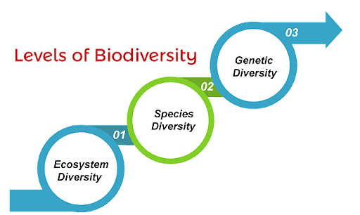 Biodiversity