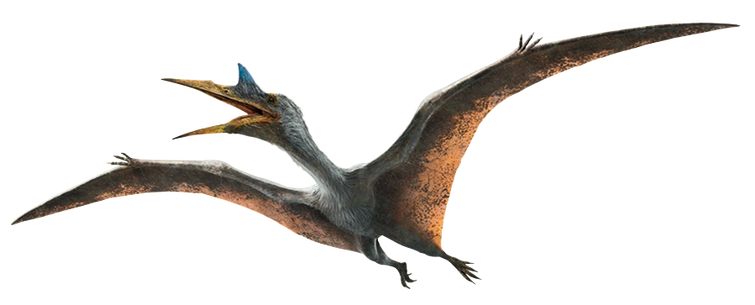 Discuss everything about jurassic park wiki