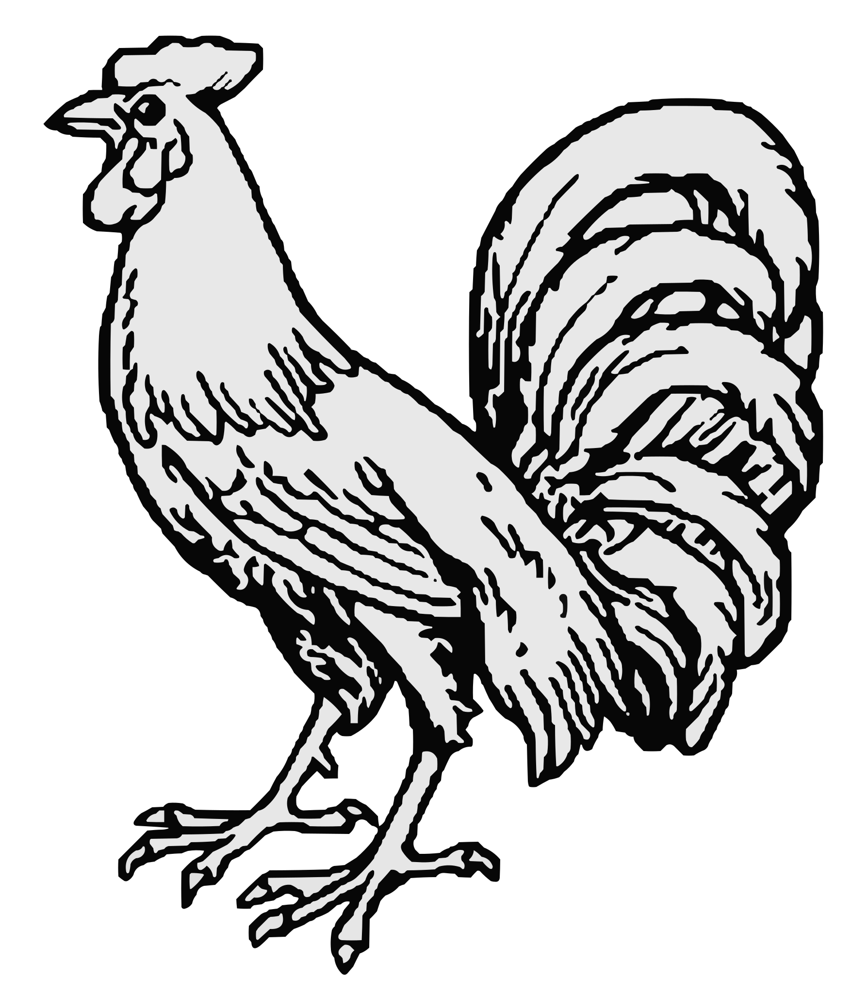 Filecoa illustration elements animal cocksvg
