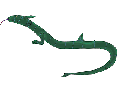 Sea serpent projects photos videos logos illustrations and branding on