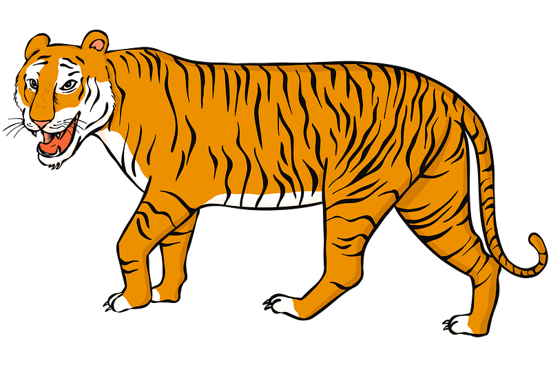 Bengal tiger images free photos png stickers wallpapers backgrounds