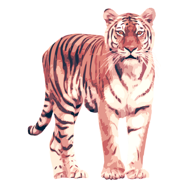 Animal fierce vector images free photos png stickers wallpapers backgrounds