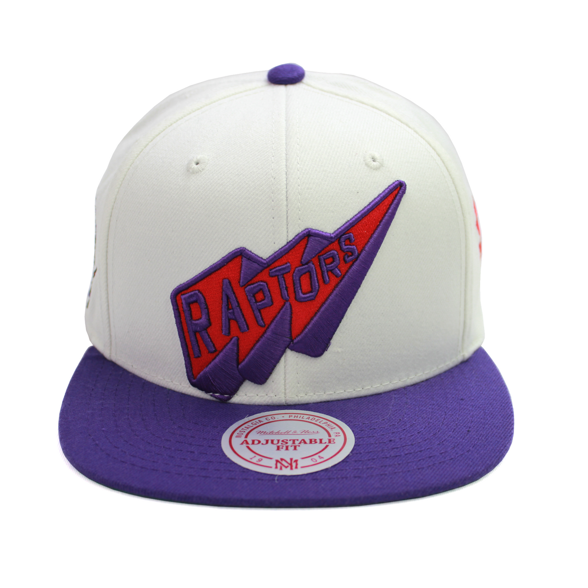 Mens toronto raptors nba fast times snapback hat