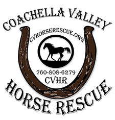 Horse rescue corner