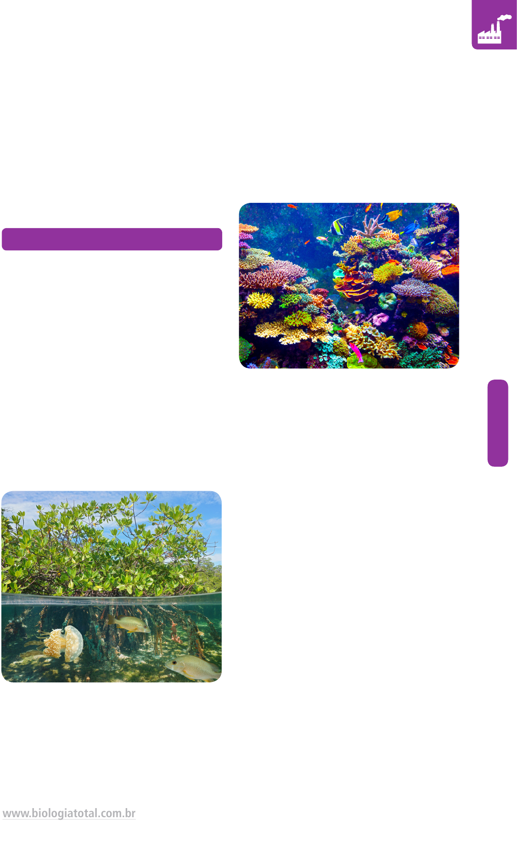 Sucessão ecolãgica e biomas