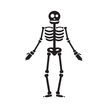 Halloween skeleton png transparent images free download vector files